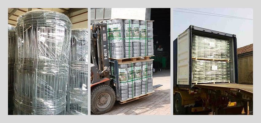 Hinge Joint Field Wire Fence package